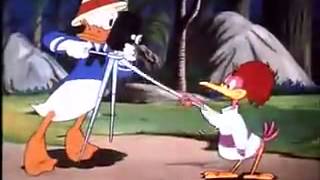 Donald Duck Cartoons Full Episodes Donald Duck Clown Of The Jungle NEW video [upl. by Eessej55]