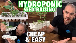 Cheap amp Easy DIY Hydroponic Seed Raising Technique [upl. by Rozella848]