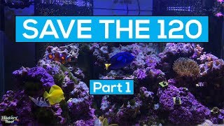 Save The 120  Part 1 Vibrant Reef Cleaner to the rescue [upl. by Wolpert728]