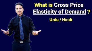 Cross Price Elasticity of Demand  Cross Demand With Example  Urdu  Hindi [upl. by Celinda]