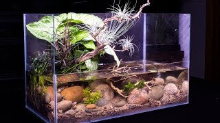 DIY Pond Themed Nano Riparium [upl. by Eralc]