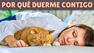 ¿Por qué tu gato DUERME CONTIGO ➡️ Ventajas e inconvenientes [upl. by Arela678]