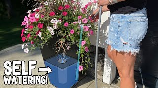 DIY Self Watering Planter Conversion [upl. by Ansley]