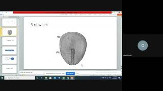 Embryology  embryogenesis of cardiovascular system lec 13  DRMAZIN [upl. by Lizzie616]