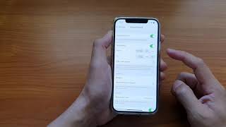 iPhone 1212 Pro How to EnableDisable Do Not Disturb to Silence CallsNotifications [upl. by Chandos]