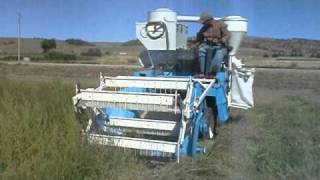 sainfoin seed harvest [upl. by Icart]