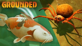 Groundeds KOI POND UPDATE is HERE Grounded Beta Episode 24 [upl. by Redman]