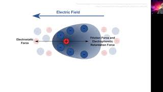 Measuring zeta potential  electrophoresis [upl. by Ij455]