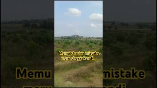 Memu chasina mistake meru cheyyakandi farming trending organicfarming viralvideo natural [upl. by Aihseym]