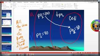 Oxyhemoglobin dissociation curve [upl. by Wolram]