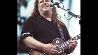 Warren Haynes  Simple Man [upl. by Lehcer]