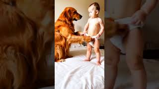 quotThe dog is putting a diaper on the baby [upl. by Noremac]