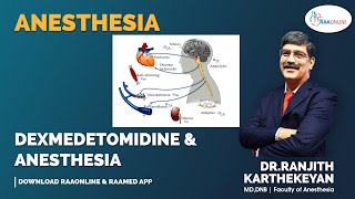 Anesthesia  Dexmedetomidine amp Anesthesia  Raaonline anesthesia anesthesiology anesthesiologist [upl. by Say484]