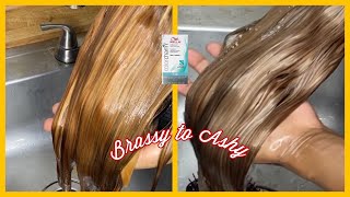 From Brassy to Ash Blonde  Which Wella Toner should I use Aquadiva [upl. by Greenburg]