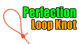 Perfection Loop Knot  Strong Easy Leader To Line Loop Knot  Best Fishing Knots [upl. by Makell807]