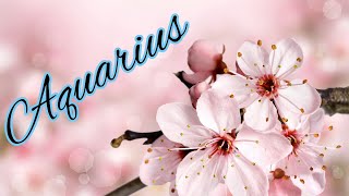 Aquarius💮Dont Be FooledThis Person Is YOUR PERSON💎A Healing ConnectionTheyll Step Up💮Singles [upl. by El]