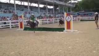 Shetland Pony Steeplechase at the Devon Horse Show [upl. by O'Toole]