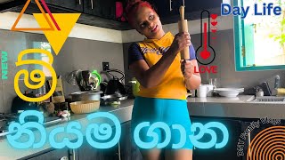 ම් නියම ගාන  Day Life  Nilmini Sheron  DNY Family Vlogs  Sri Lanka nilminisheron Hotmom DNY [upl. by Bainbrudge]