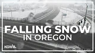 Snow falling in Portland surrounding areas  Watch Live [upl. by Ahgiela]