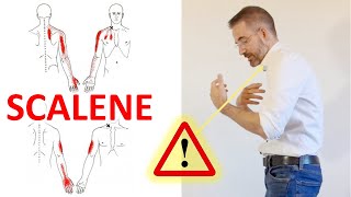 Stretch Your Neck Scalenes Muscles  Scalene Muscle Release [upl. by Aisha504]