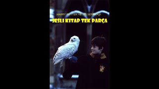 Harry Potter ve Felsefe Taşı  Tek Parça  En İyi Sesli Kitap [upl. by Asetal]