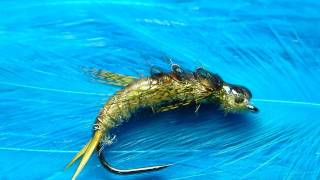 Tying a Golden Stonefly Nymph with Davie McPhail [upl. by Kcirddahc853]