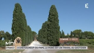 LE FEUILLETON  À ChâteauneufduPape la vigne est un travail au quotidien [upl. by Arretak781]