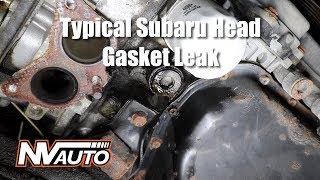 How to diagnose a external Subaru head gasket leak [upl. by Eirojram771]