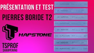 PRÉSENTATION ET TEST DES PIERRES BORIDES T2 COMPATIBLES TSPROF ET HAPSTONE [upl. by Yebloc]