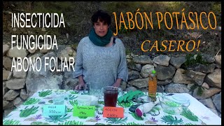 como hacer JABÓN POTÁSICO PARA PLANTAS CASERO solo 3 ingredientes INSECTICIDA con ACEITE DE NEEM [upl. by Brittney]