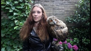 VLOG 04  De uilen voorstellen [upl. by Elbertina834]