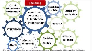 Neuropsychologie et troubles des apprentissages chez lenfant [upl. by Juliana]