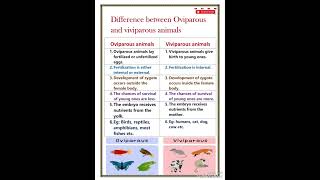 Difference between oviparous and viviparous animals [upl. by Jarvey897]