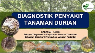 DIAGNOSTIK PENYAKIT TANAMAN DURIAN [upl. by Atived]