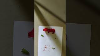 How to seperate parts of flower  petals sepals pistil stamen [upl. by Aedrahs]