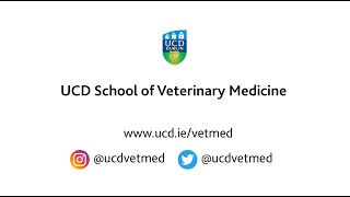 UCD School of Veterinary Medicine  Graduate Entry Veterinary Medicine MVB Programme 20232024 [upl. by Valenta]