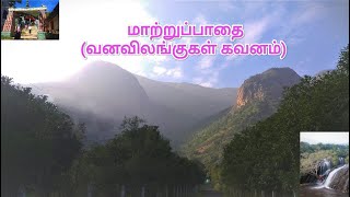 Madurai  Top 5 trekking destinations  மதுரையில் மலையேற்றம் செய்ய வேண்டுமா [upl. by Jeanelle]