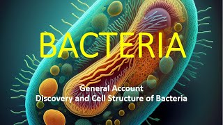 Bacteria Microbiology CellBiology ScienceEducation DiscoveryOfBacteria Prokaryotes [upl. by Laet768]