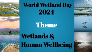 World Wetland Day 2024  Wetlands and Human Wellbeing [upl. by John185]