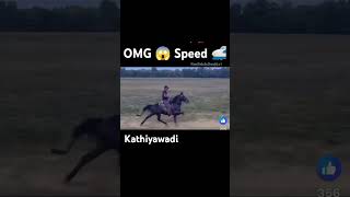 OMG 😳 speed 🚄 horse trendingshorts viralshorts new kathiyawadihorse horsefan horselover new [upl. by Austin]