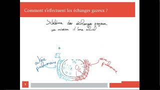 Le fonctionnement de lappareil respiratoire [upl. by Mann652]