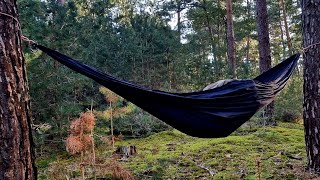 1 Minute Hammock Setup [upl. by Eenoj569]