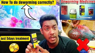 How to do deworming correctly 🤔  Flowerhorn deworming Best medicine 👈 deworming flowerhorn [upl. by Chevalier]