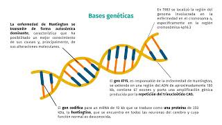 ENFERMEDAD DE HUNTINGTON 2 [upl. by Iahk111]