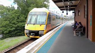 Wentworthville Trainspotting [upl. by Donell743]