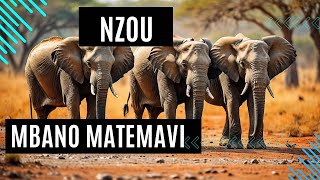 Nzou Matemavi  Zimbabwe totems  Shona poetry [upl. by Teddman]