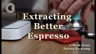 Espresso Extraction Beginner’s Guide Creating the Perfect Espresso Recipe [upl. by Eahsat]