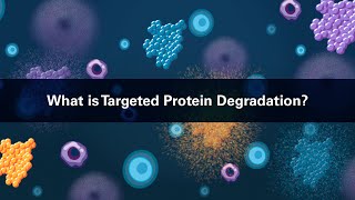 What is Targeted Protein Degradation [upl. by Zobkiw540]