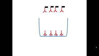 Test Elisa indirect [upl. by Greg]