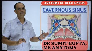 CAVERNOUS SINUS  Boundaries  Contents  Thrombosis [upl. by Mell]